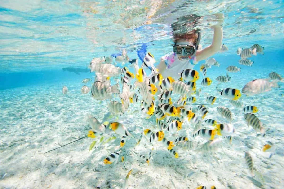 cambodia adventure tours