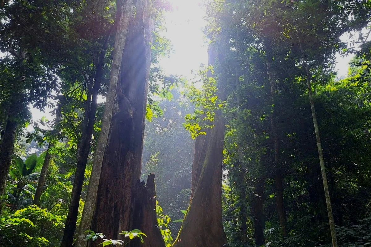 vietnam adventure tours